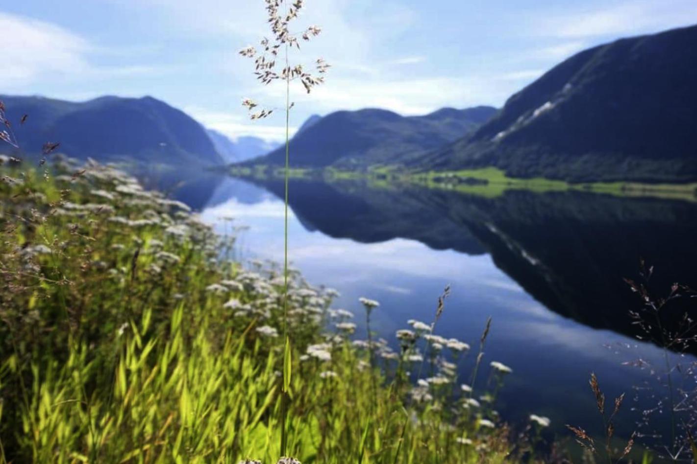 Jolster View Årdal
